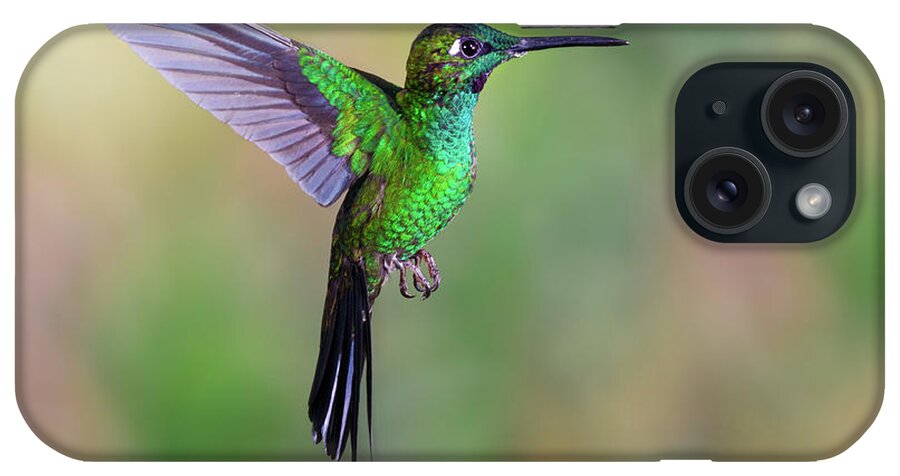 Green-crowned Brilliant iPhone Case featuring the photograph Hummingbird , Green-crowned Brilliant #1 by Kencanning