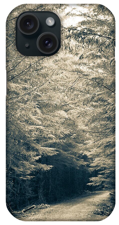B&w iPhone Case featuring the photograph Into the Woods #2 by Ronda Broatch