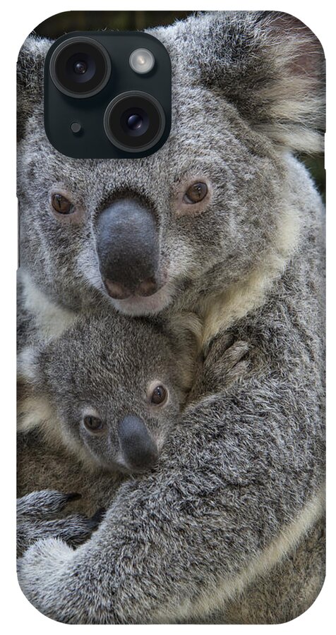 Feb0514 iPhone Case featuring the photograph Koala Mother Holding Joey Australia #1 by Suzi Eszterhas