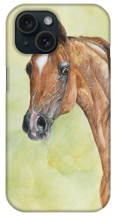 Horse Original Painting iPhone Case featuring the painting Kwestura #2 by Janina Suuronen