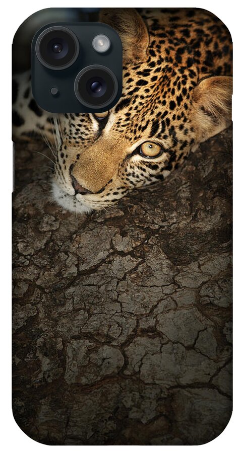 Leopard iPhone Case featuring the photograph Leopard Portrait #2 by Johan Swanepoel
