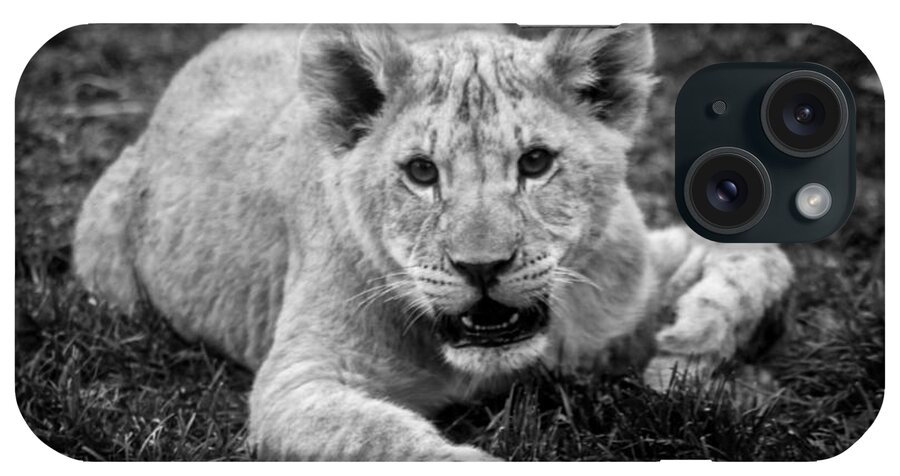  iPhone Case featuring the photograph Lion Cub #1 by David Rucker
