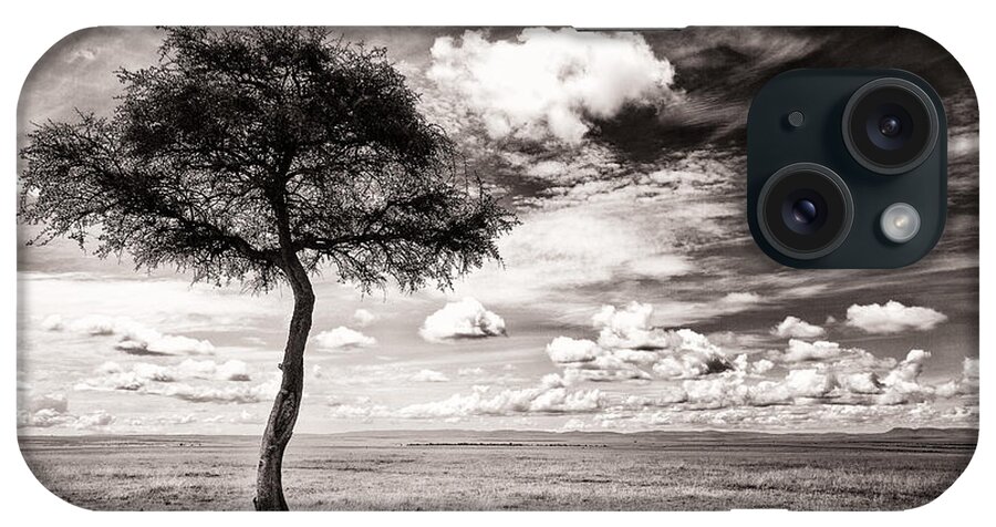 Africa iPhone Case featuring the photograph Lions In The Shade - Selenium Toned #1 by Mike Gaudaur