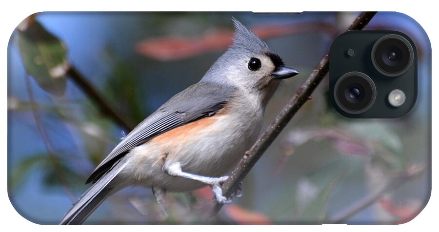 Titmouse iPhone Case featuring the photograph Little Tufted Titmouse #1 by Kathy Baccari