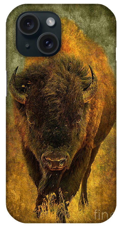 Buffalo iPhone Case featuring the photograph Lone Buffalo #2 by Cindy Singleton
