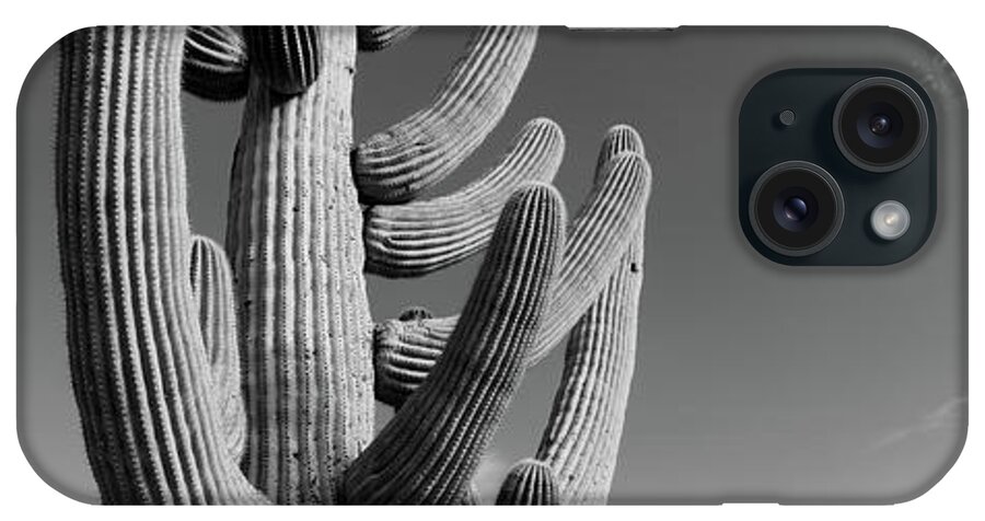 Photography iPhone Case featuring the photograph Low Angle View Of A Saguaro #1 by Panoramic Images
