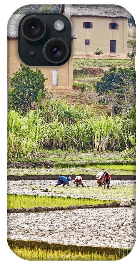 Madagascar iPhone Case featuring the photograph Madagascan Paddyfield #2 by Liz Leyden