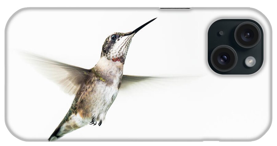 White Background iPhone Case featuring the photograph Male Ruby-throated Hummingbird #1 by Jim Mckinley
