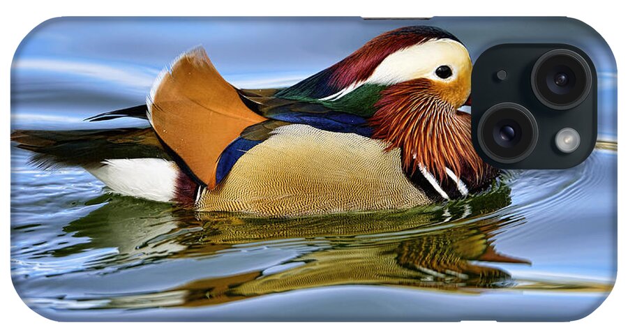 Dodsworth iPhone Case featuring the photograph Mandarin Duck #1 by Bill Dodsworth