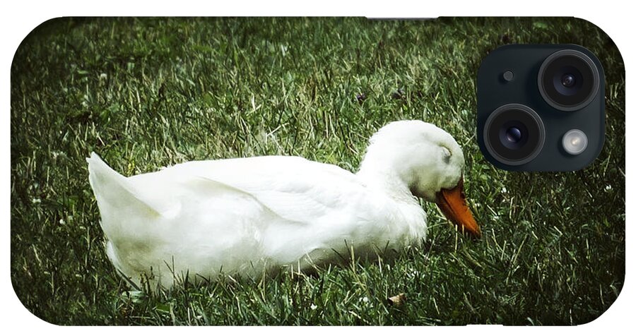 Duck iPhone Case featuring the photograph May thy slumber be blessed... #2 by Natasha Marco