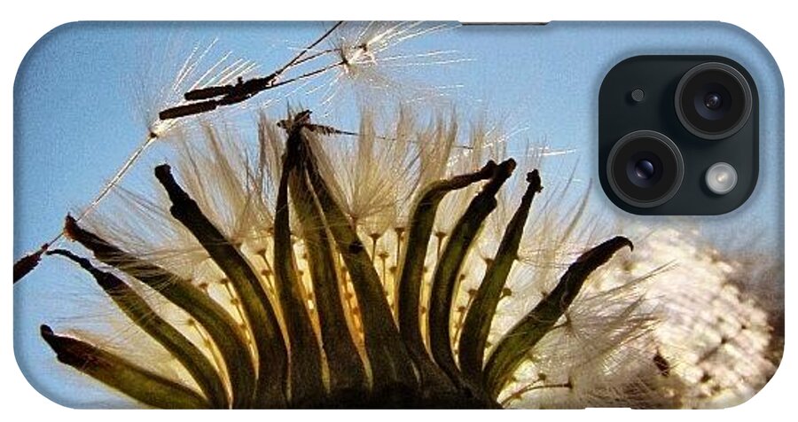 Life iPhone Case featuring the photograph #mgmarts #dandelion #1 by Marianna Mills