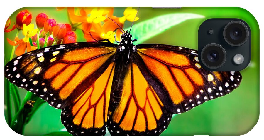 Monarch Butterfly iPhone Case featuring the photograph Monarch Butterfly #2 by Mark Andrew Thomas