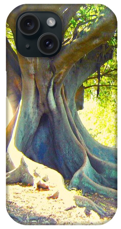 Tree iPhone Case featuring the photograph Morton Bay Fig Tree by Leanne Seymour