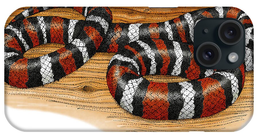 Art iPhone Case featuring the photograph Mountain Kingsnake by Roger Hall