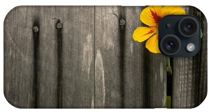 Flora iPhone Case featuring the photograph Nasturtium #1 by Ron Sanford