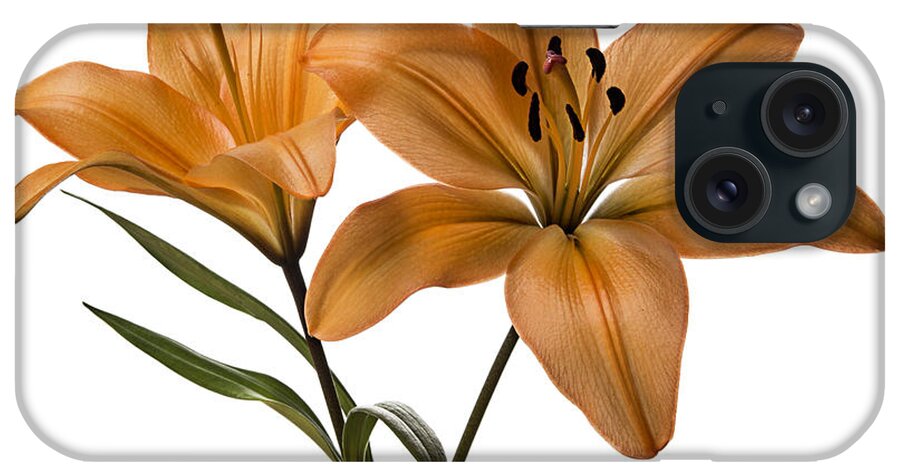 Flower iPhone Case featuring the photograph Orange Asiatic Lilies #1 by Endre Balogh