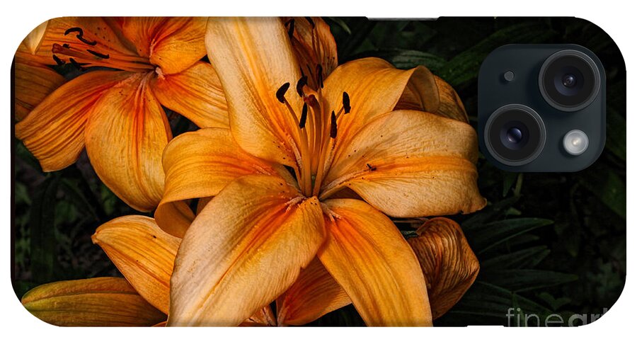 Lilies iPhone Case featuring the photograph Orange Lilies by Lena Auxier