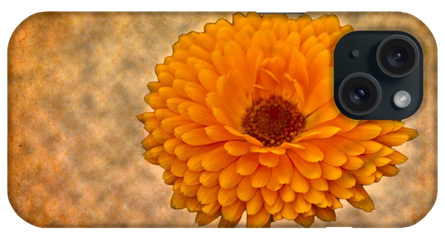 Orange iPhone Case featuring the photograph Orange Zinnia #1 by Bill Barber