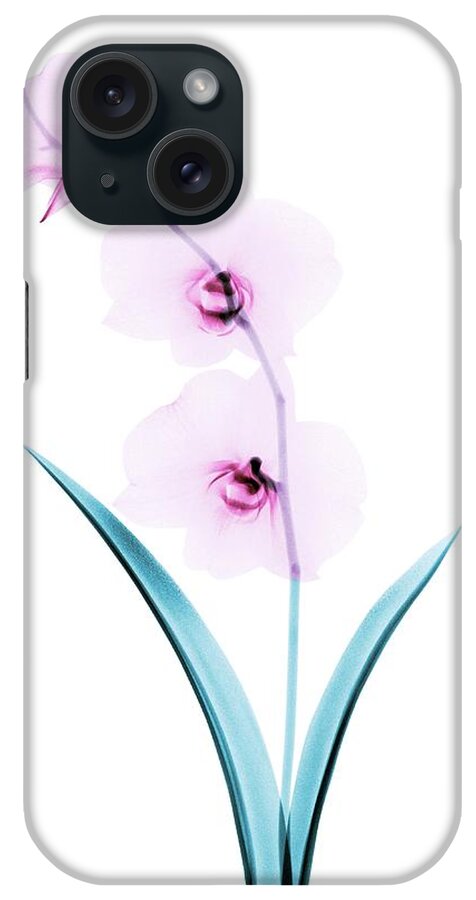 Flower iPhone Case featuring the photograph Orchid Flowers #1 by Brendan Fitzpatrick