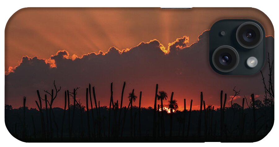 Orlando iPhone Case featuring the photograph Orlando Wetlands Sunrise #2 by Dorothy Cunningham