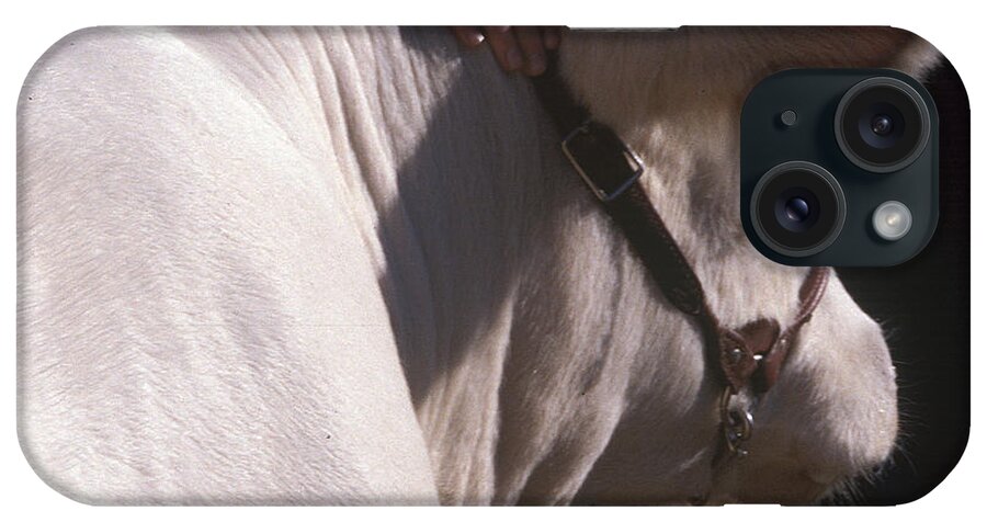 4-h Steer iPhone Case featuring the photograph Parting Words #1 by Jim Cotton