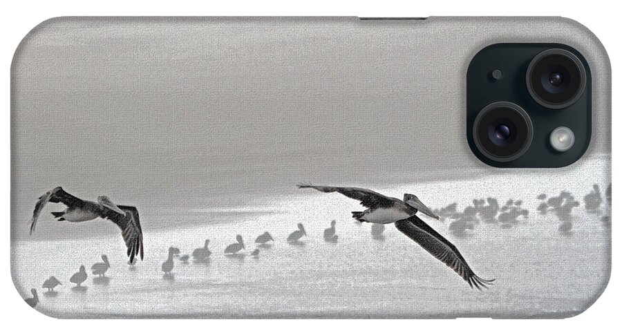 Pelicans Foggy Picnic iPhone Case featuring the photograph Pelicans Foggy Picnic #3 by Tom Janca