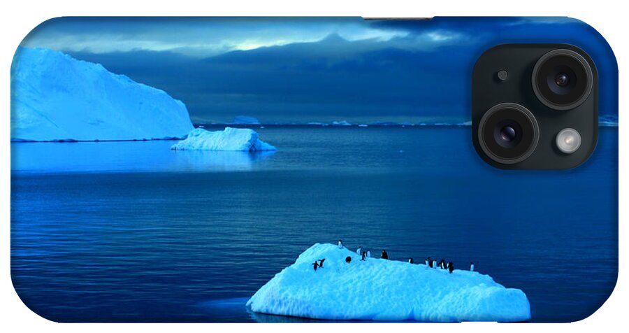 Icebergs iPhone Case featuring the photograph Penguins on Iceberg #1 by Amanda Stadther