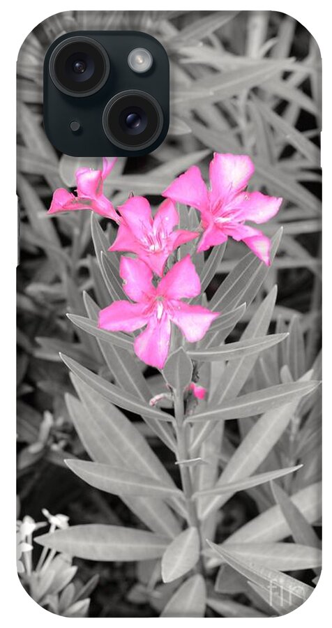 Pink Flower iPhone Case featuring the photograph Pink flower by Laura Forde