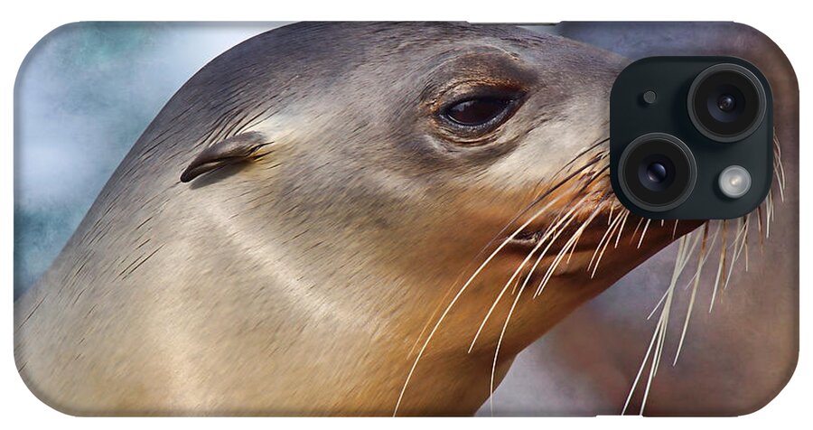 Sea Lion iPhone Case featuring the photograph Poise #1 by Leda Robertson