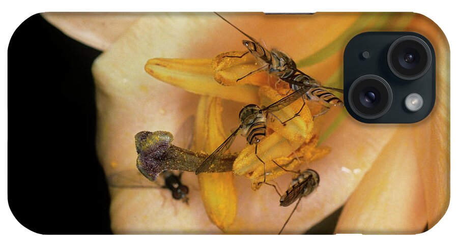 'pink Tiger' iPhone Case featuring the photograph Pollination #1 by Dr Jeremy Burgess/science Photo Library