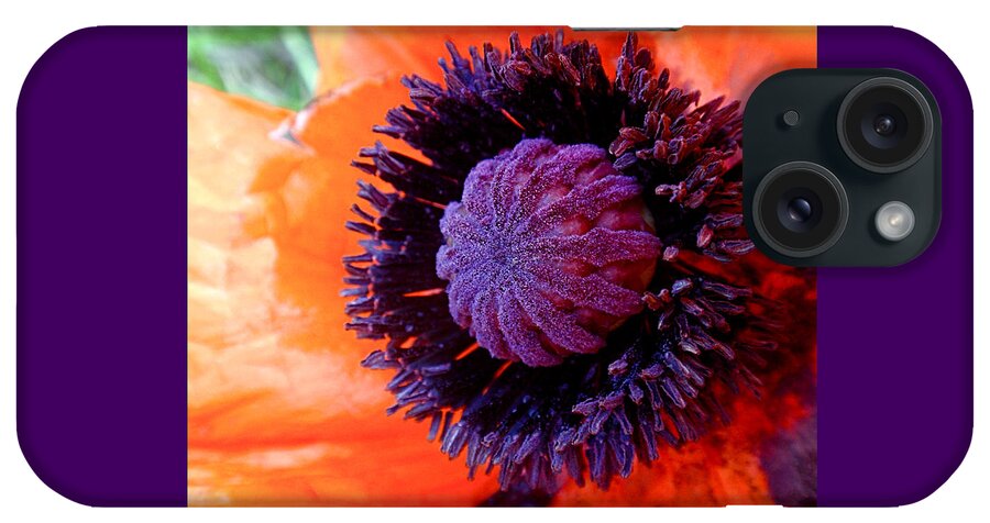 Poppy iPhone Case featuring the photograph Poppy by Rona Black
