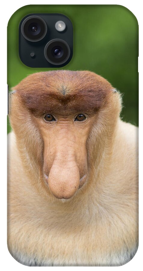 Suzi Eszterhas iPhone Case featuring the photograph Proboscis Monkey Dominant Male Sabah #1 by Suzi Eszterhas
