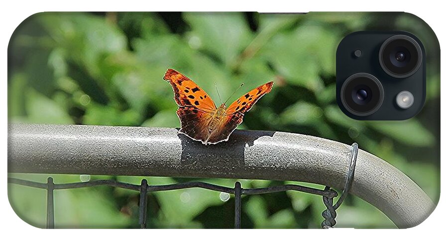 Question Mark Butterfly iPhone Case featuring the photograph Question Mark Butterfly #1 by Yumi Johnson