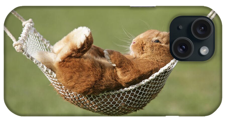Rabbit iPhone Case featuring the photograph Rabbit In A Hammock #1 by John Daniels