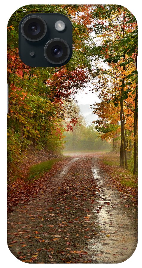 Fall iPhone Case featuring the photograph Rainy Days #2 by Lisa Lambert-Shank