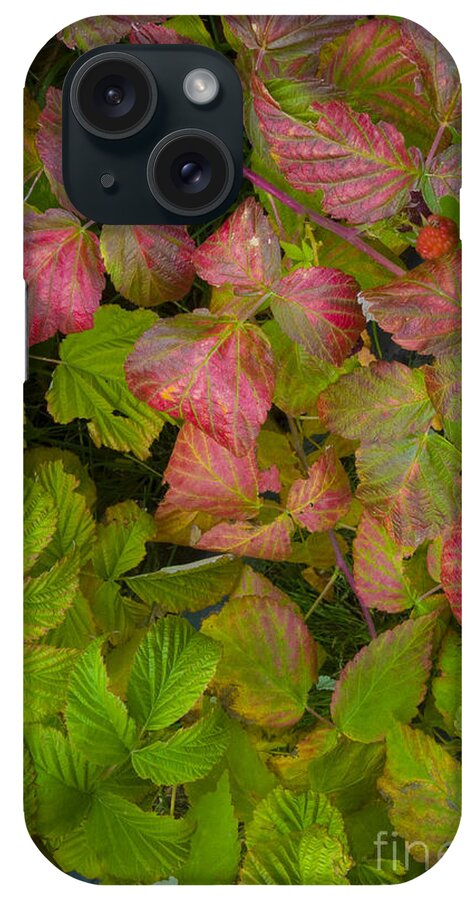 Nature iPhone Case featuring the photograph Raspberry Leaves In Autumn #1 by William H. Mullins