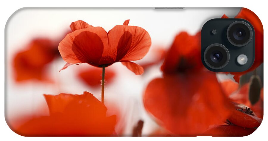 Poppy iPhone Case featuring the photograph Red Poppy Flowers #1 by Nailia Schwarz