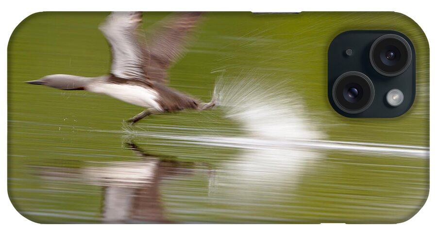 Red-throated Loon iPhone Case featuring the photograph Red-throated Loon #1 by Dr. Hinrich Bsemann