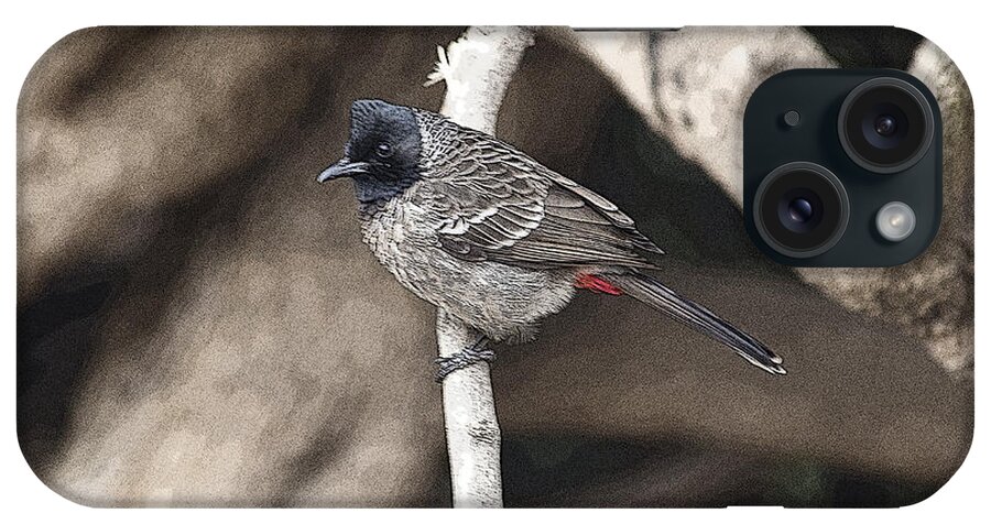 Red Vented Bulbul iPhone Case featuring the photograph Red Vented Bulbul #1 by Pravine Chester