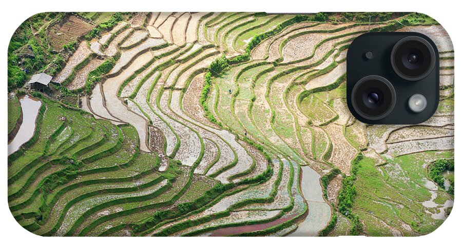 Tranquility iPhone Case featuring the photograph Rice Paddies In Vietnam #1 by Carlo A
