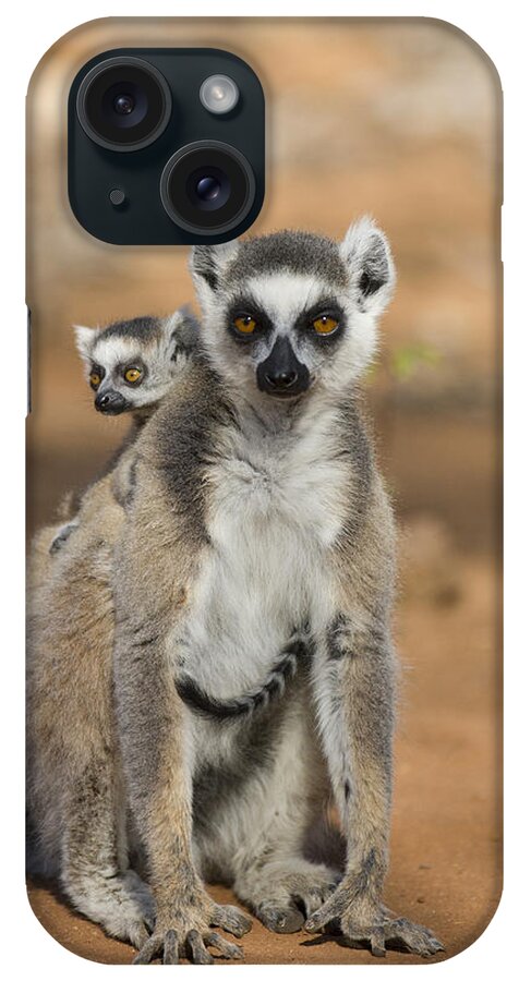 Feb0514 iPhone Case featuring the photograph Ring-tailed Lemur And Baby Madagascar #1 by Suzi Eszterhas