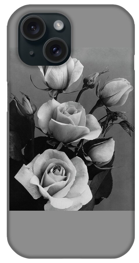 Roses #1 iPhone Case