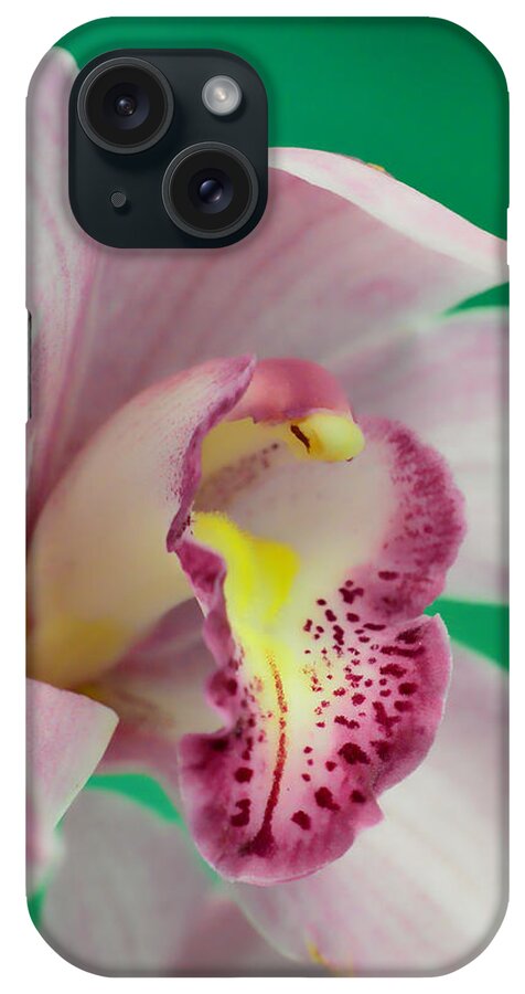Orchid iPhone Case featuring the photograph Say AHHH #1 by Donna Blackhall