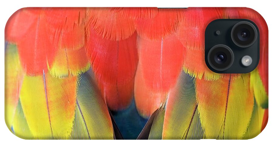 Ara Macao iPhone Case featuring the photograph Scarlet Macaw Plumage #1 by Tony Camacho