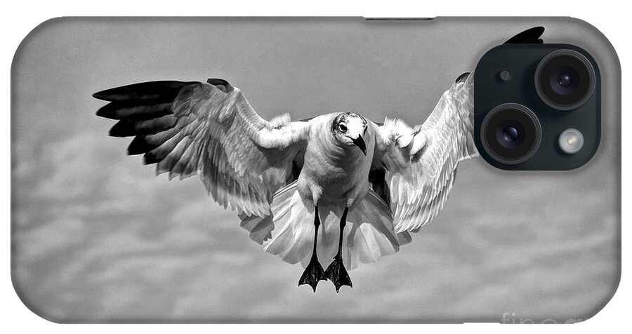 Flight iPhone Case featuring the photograph Seagull #2 by Savannah Gibbs