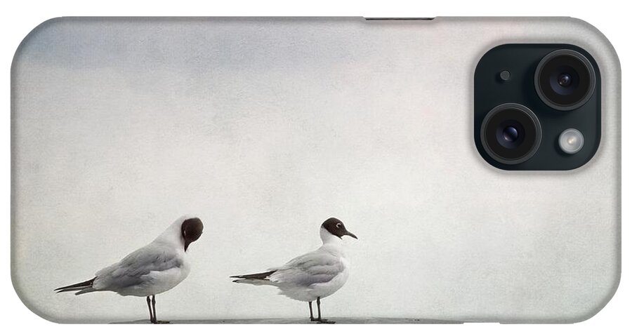 Bird iPhone Case featuring the photograph Seagulls #1 by Priska Wettstein