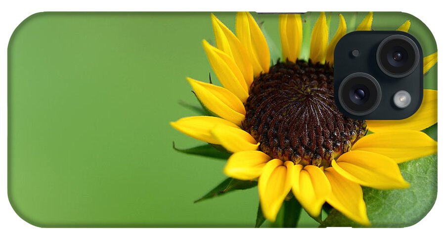 Flower iPhone Case featuring the photograph Sensitivity #2 by Melanie Moraga