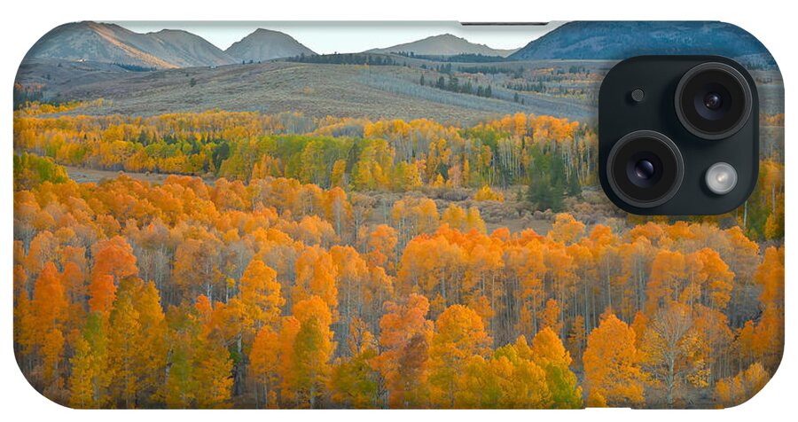 Fall iPhone Case featuring the photograph Silence of the Fall #2 by Jonathan Nguyen