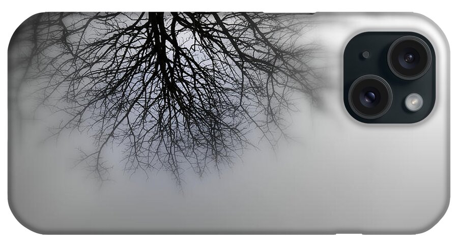 Winter iPhone Case featuring the photograph Silhouette Of A Tree #1 by Jolly Van der Velden