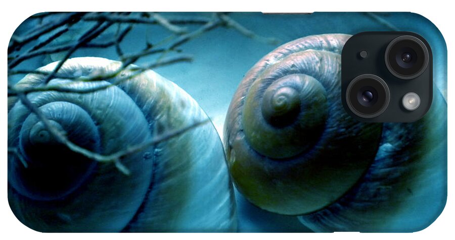 Colette iPhone Case featuring the photograph Snail Joy #2 by Colette V Hera Guggenheim